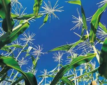 ra(chn)ƷGɫa(chn)ƷJC